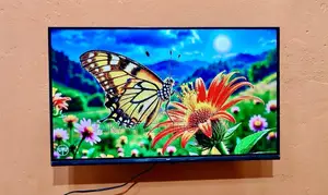 Eco+ 32" Frameless Google Voice Control TV