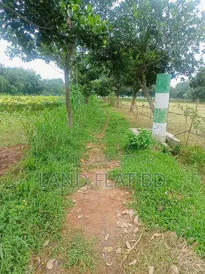 নিরিবেরি পরিবেশে বসবাসের উপযোগী @ 10 কাঠা প্লট বিক্রয় করা হইবে