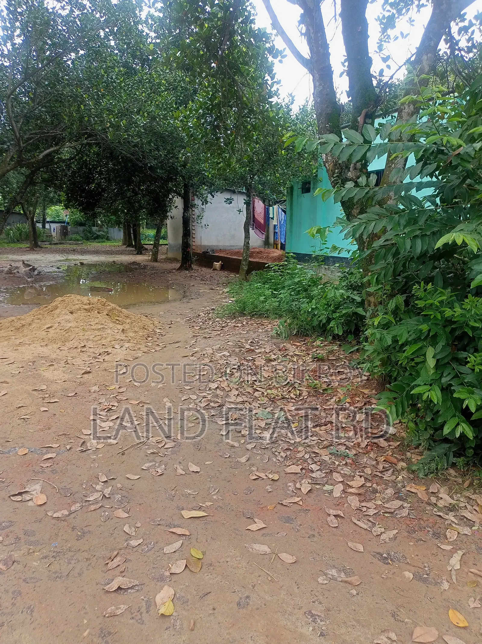 10 Katha Plot for Sale, Suitable for Living in a Quiet Environment