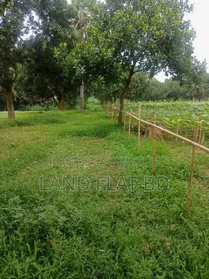 10 Katha Plot for Sale, Suitable for Living in a Quiet Environment