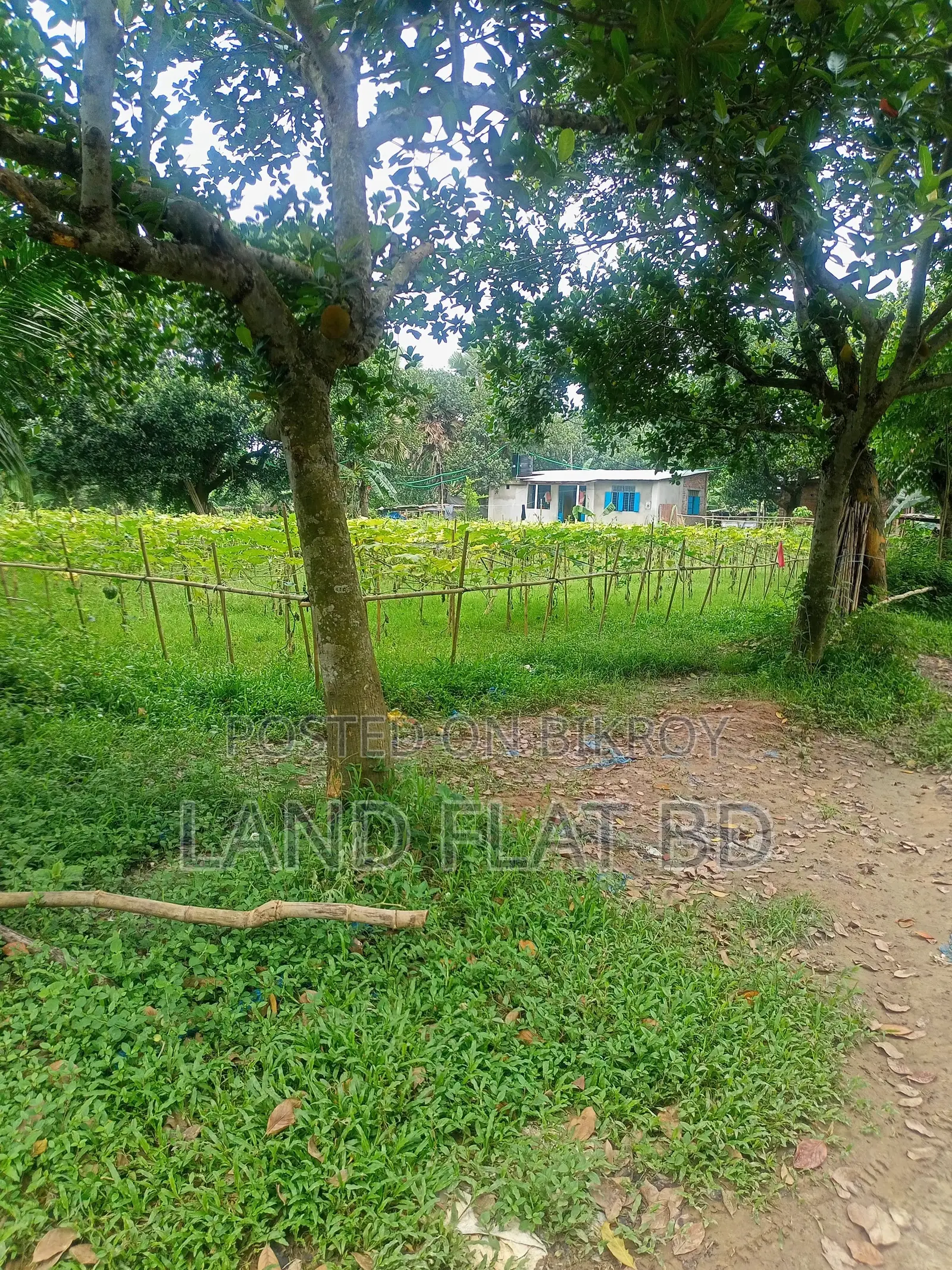 10 Katha Plot for Sale, Suitable for Living in a Quiet Environment