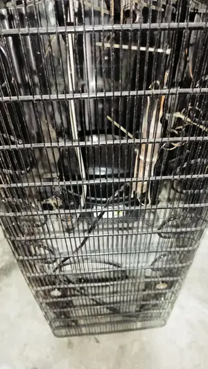Water Cooling Machine for Sale