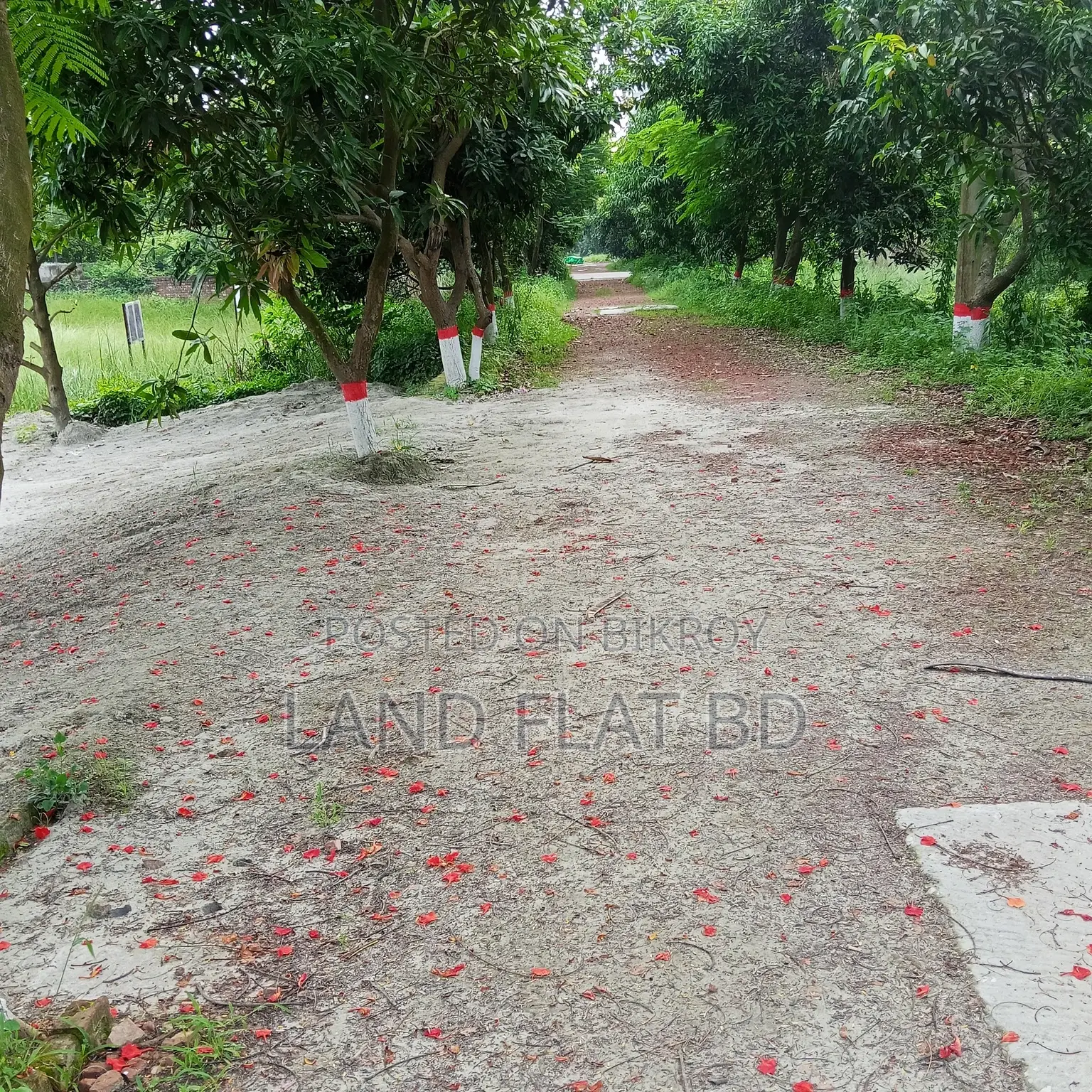 শতভাগ বাড়ি করার উপযোগী @ 8.09 কাঠা প্লট বিক্রয়