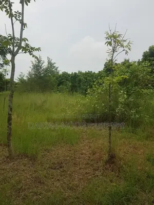 30 Bigha Land for Sale in Jazira Naodoba, Near Sheikh Russel Cantonment