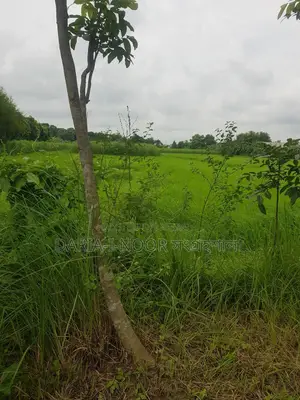 শেখ রাসেল সেনা নিবাস সংলগ্ন জাজিরা নাওডোবাতে ৩০ বিঘা জমি বিক্রি হবে