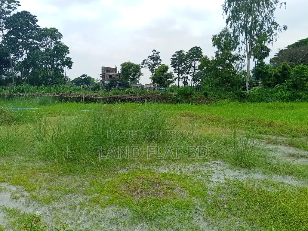 Residential Land with Road Access for Sale - 6 Katha