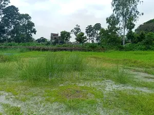 Residential Land with Road Access for Sale - 6 Katha