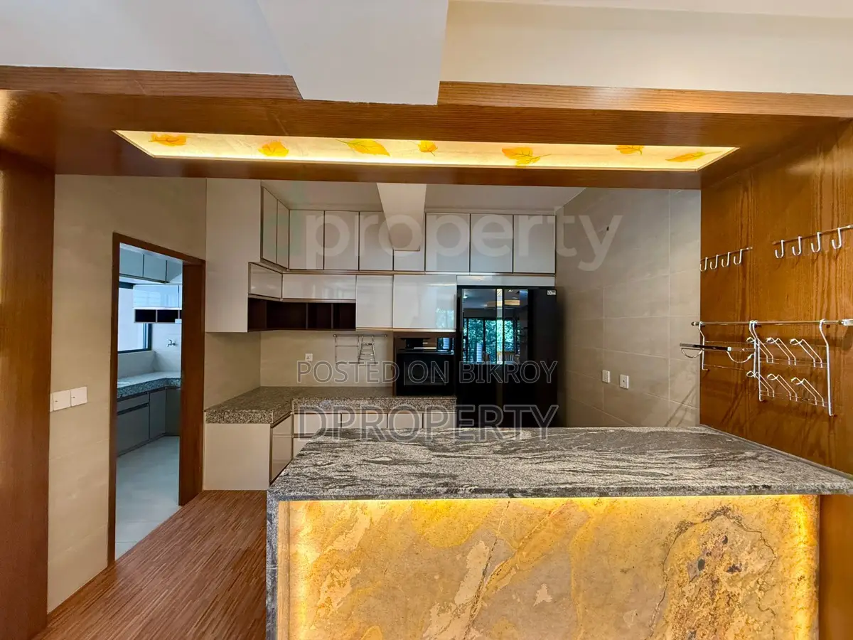 5000 SFT Brand New Full Furnished Apartment rent at 4th Floor Gulshan