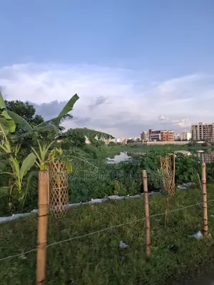60×30 CORNER DIRECT LAKE FACING PLOT
