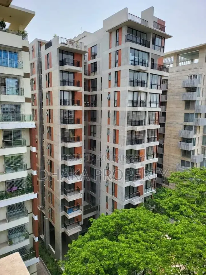 Luxurious Full Furnished Apartment Rent in Banani