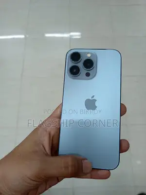 Apple iPhone 13 Pro (Used)