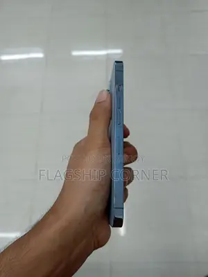 Apple iPhone 13 Pro (Used)