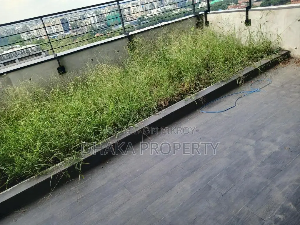 ডুপ্লেক্স_৫ বেড_৪ পার্কিং_৭০০০ বর্গফুট_বিলাসবহুল নতুন_অ্যাপার্টমেন্ট ভাড়া গুলশান