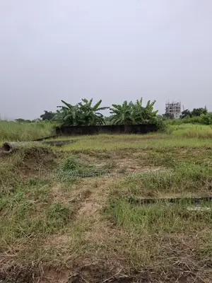 3 KATHA SECTOR 9 SOUTH FACE