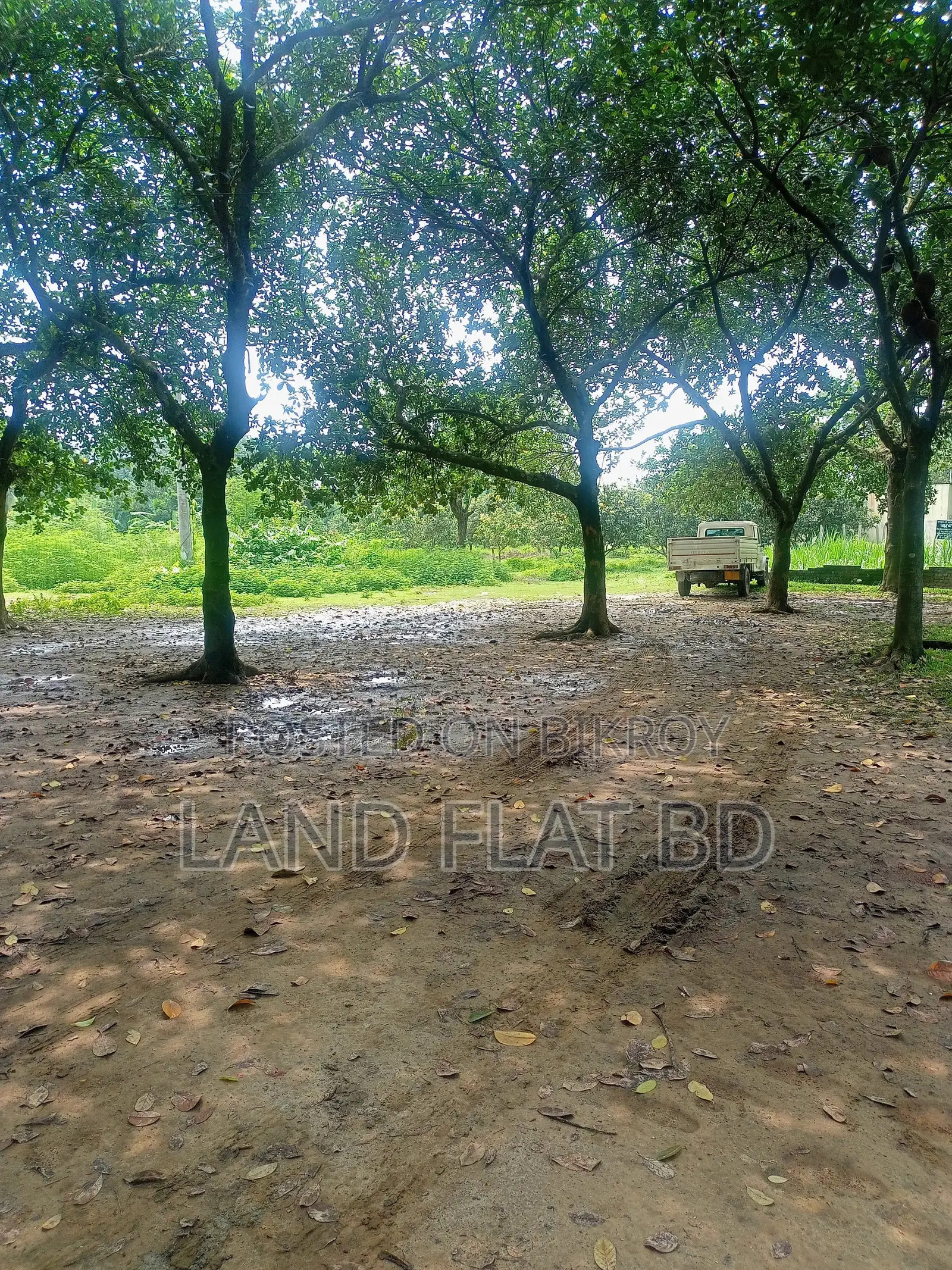 Purchase 12 Katha of Land with Cash or a Five-Year Installment Plan