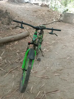 This bicycle is for sale