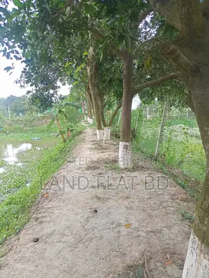 কম দামে,নিট প্লট, বি ব্লকে - ৩/৫/১০ কাঠা জমি বিক্রি করা হইবে