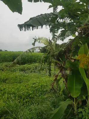 জাজিরা শরিয়তপুর মেইন রোডের সাথে নাওডোবা গনি মোড়ে ৮৩ বিঘা জমি বিক্রি হবে