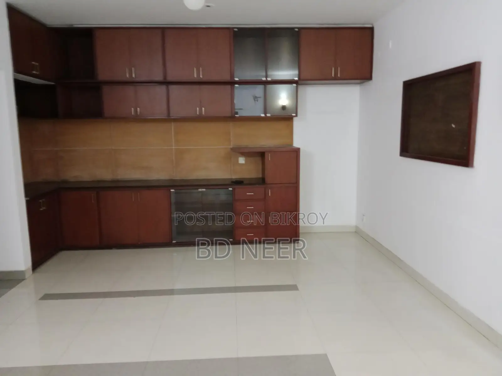 lake view semi furnish 4 bedroom apt rent in banani North