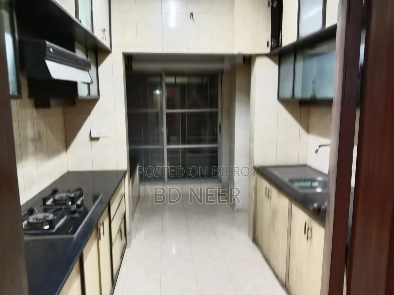 lake view semi furnish 4 bedroom apt rent in banani North