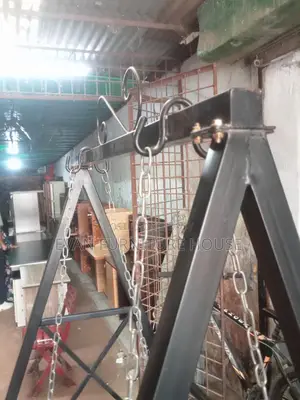 MS Swing (এম এস দোলনা)