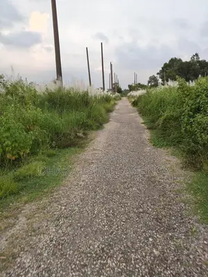 Sector 22, Road 217/B, South-Facing 5 Katha Plot