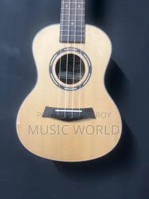 Sqoe brand Ukulele 24 inch on wholesale prise