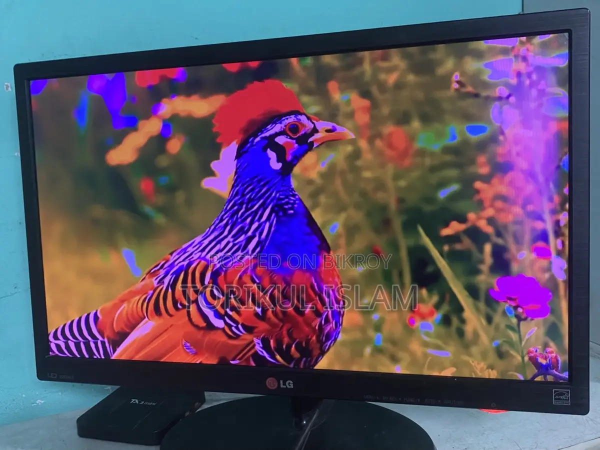 LG 19 inch Monitor + Android Box