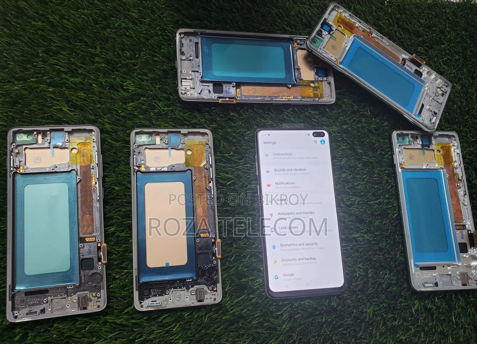 Samsung S10plus TFT Display