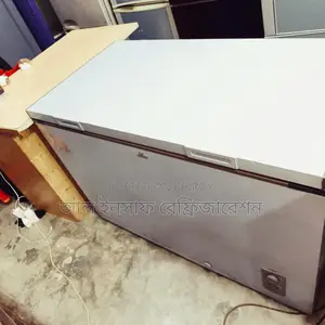 300-Liter Deep Freezer for Sale