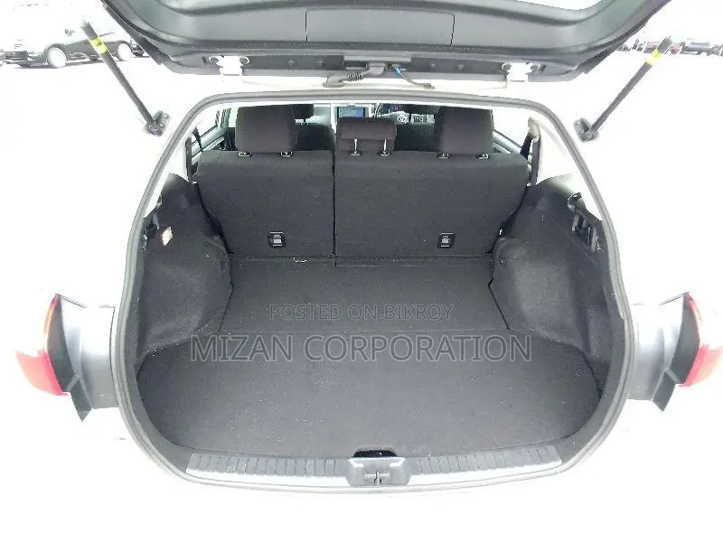 Toyota Fielder Ex package 2020