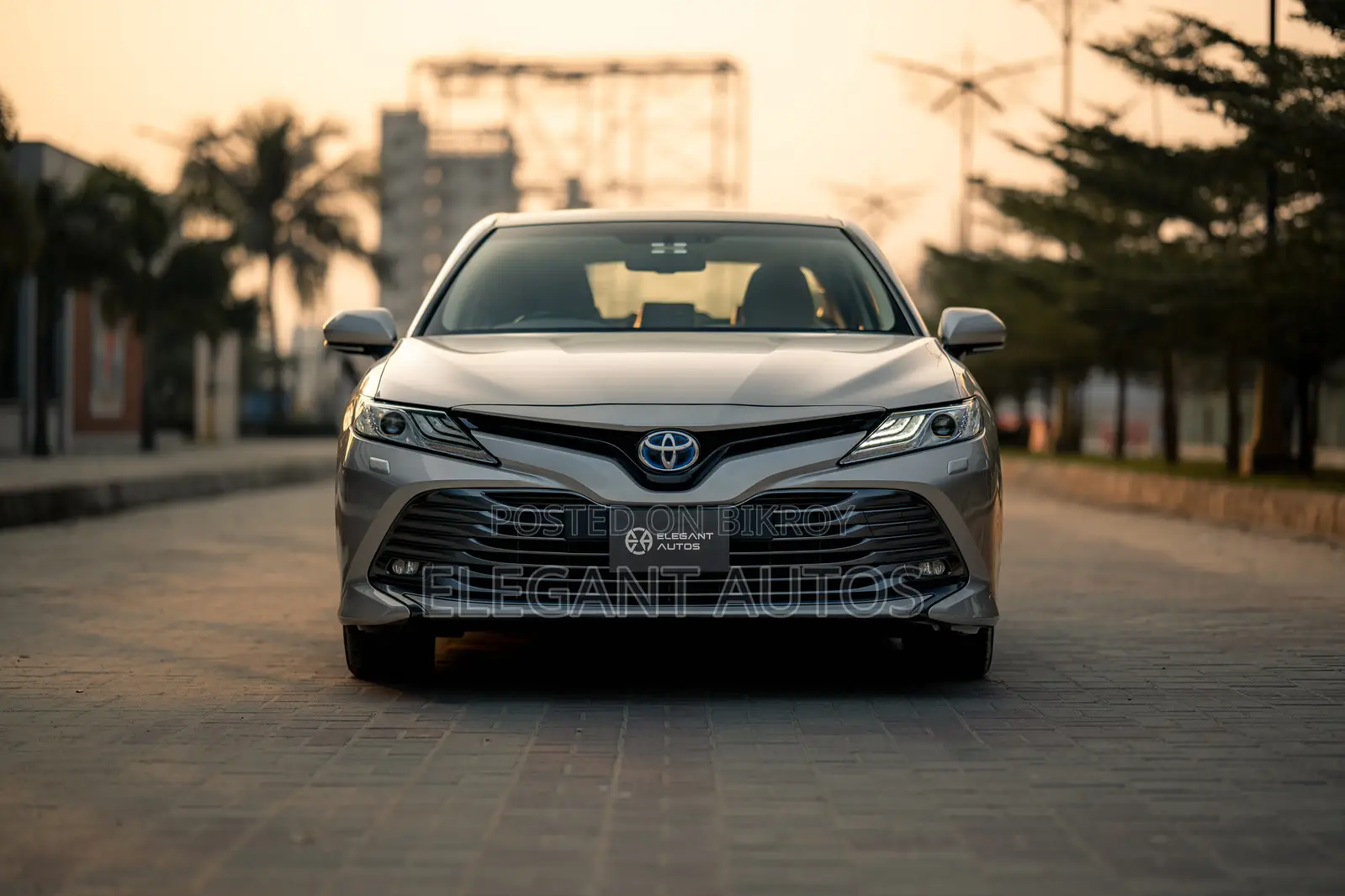 Toyota Camry XLE 2019