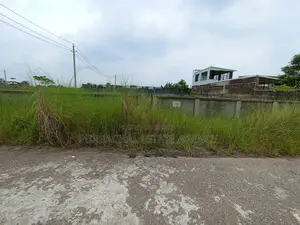 ১৬০ ফুটের কাছে, সেক্টর ৩০-এ ৫ কাঠার প্লট