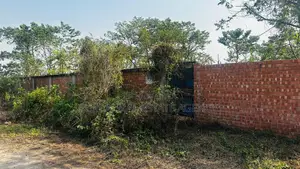 লেক ভিউয়ের কাছে, দক্ষিণমুখী, সেক্টর ১৫-এ ৫ কাঠার প্লট