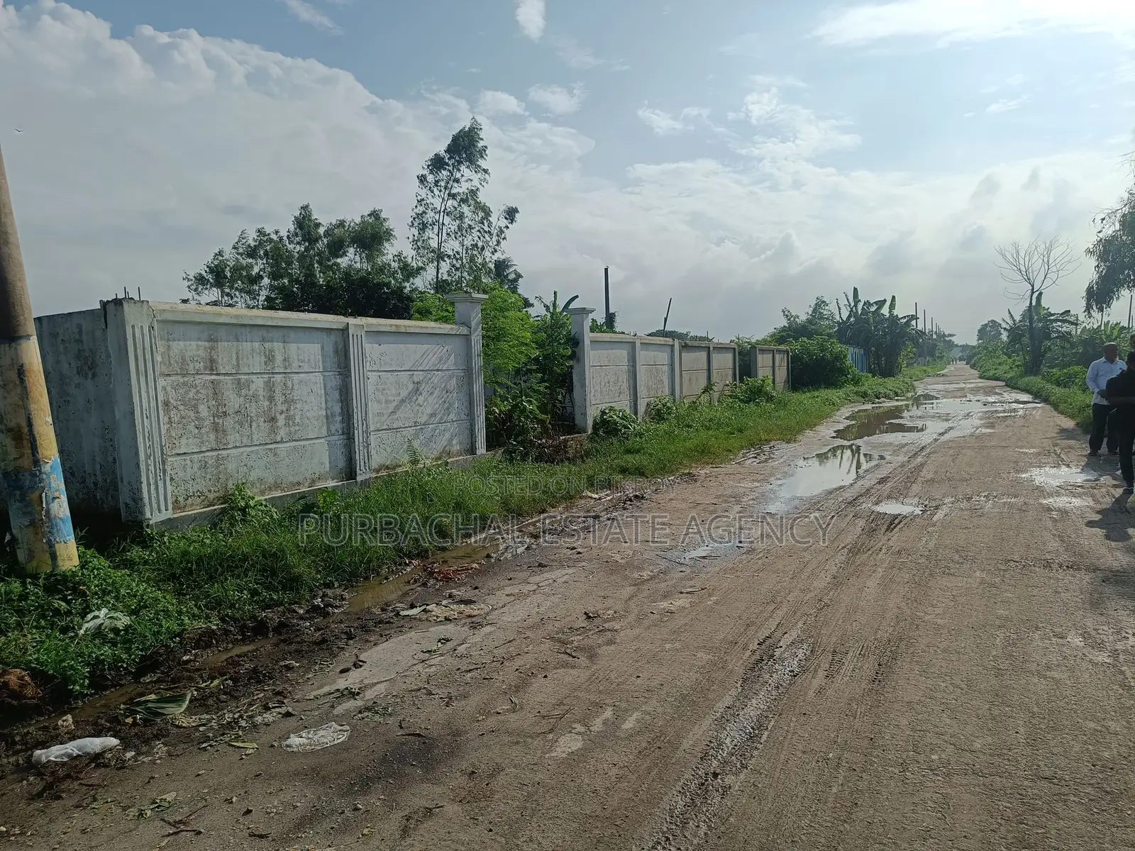 East Facing, 5 Katha Plot In Sec#11