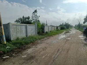 East Facing, 5 Katha Plot In Sec#11