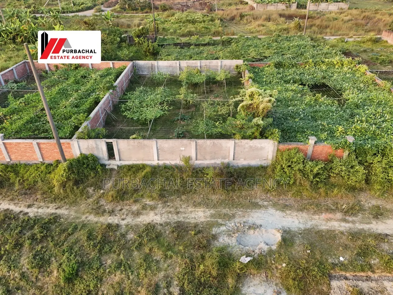 ৩০০ ফুটের কাছে, পূর্বমুখী, সেক্টর #২-এ ৫ কাঠার প্লট