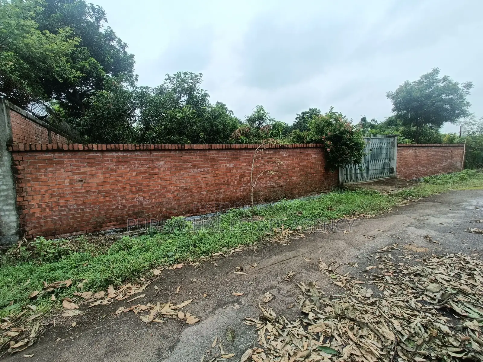 On 100ft, South Facing, 3 Katha Plot In Sec#25
