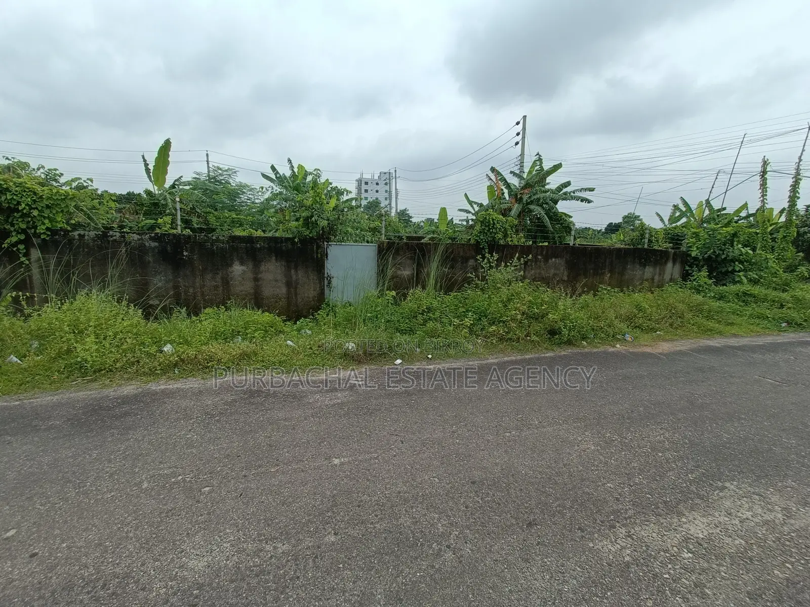 ১০০ ফুটের কাছে, দক্ষিণমুখী, সেক্টর ২৩-এ ৩ কাঠার প্লট