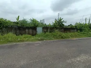 ১০০ ফুটের কাছে, দক্ষিণমুখী, সেক্টর ২৩-এ ৩ কাঠার প্লট