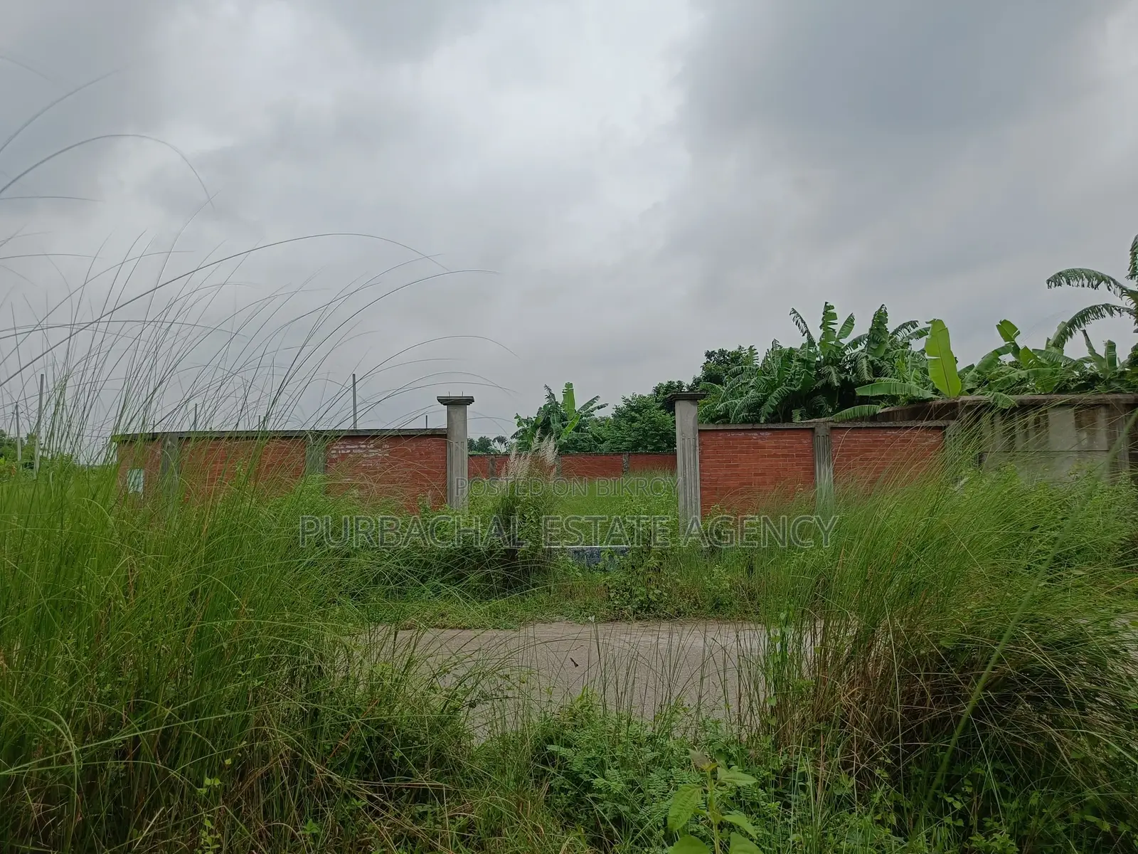 On 75ft, South Facing, 3 Katha Plot In Sec#17