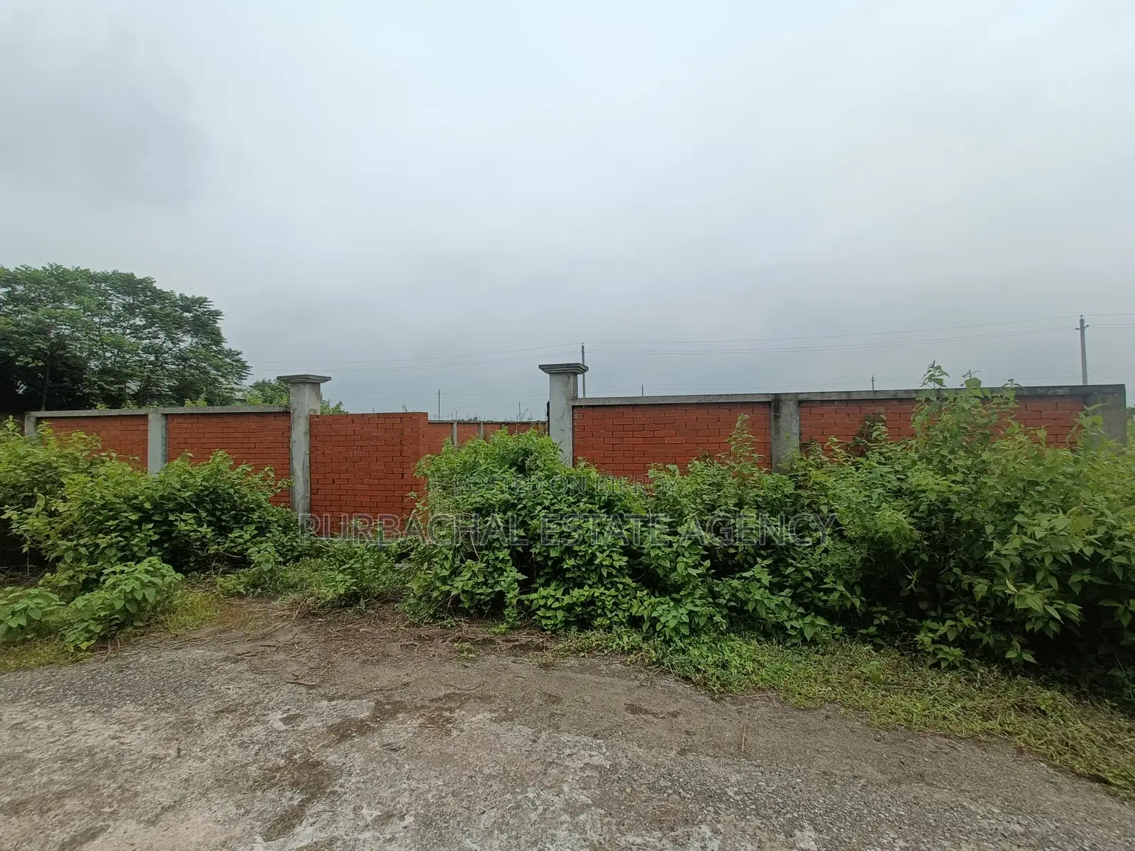 Near Hospital, South Facing, 3 Katha Plot In Sec#13