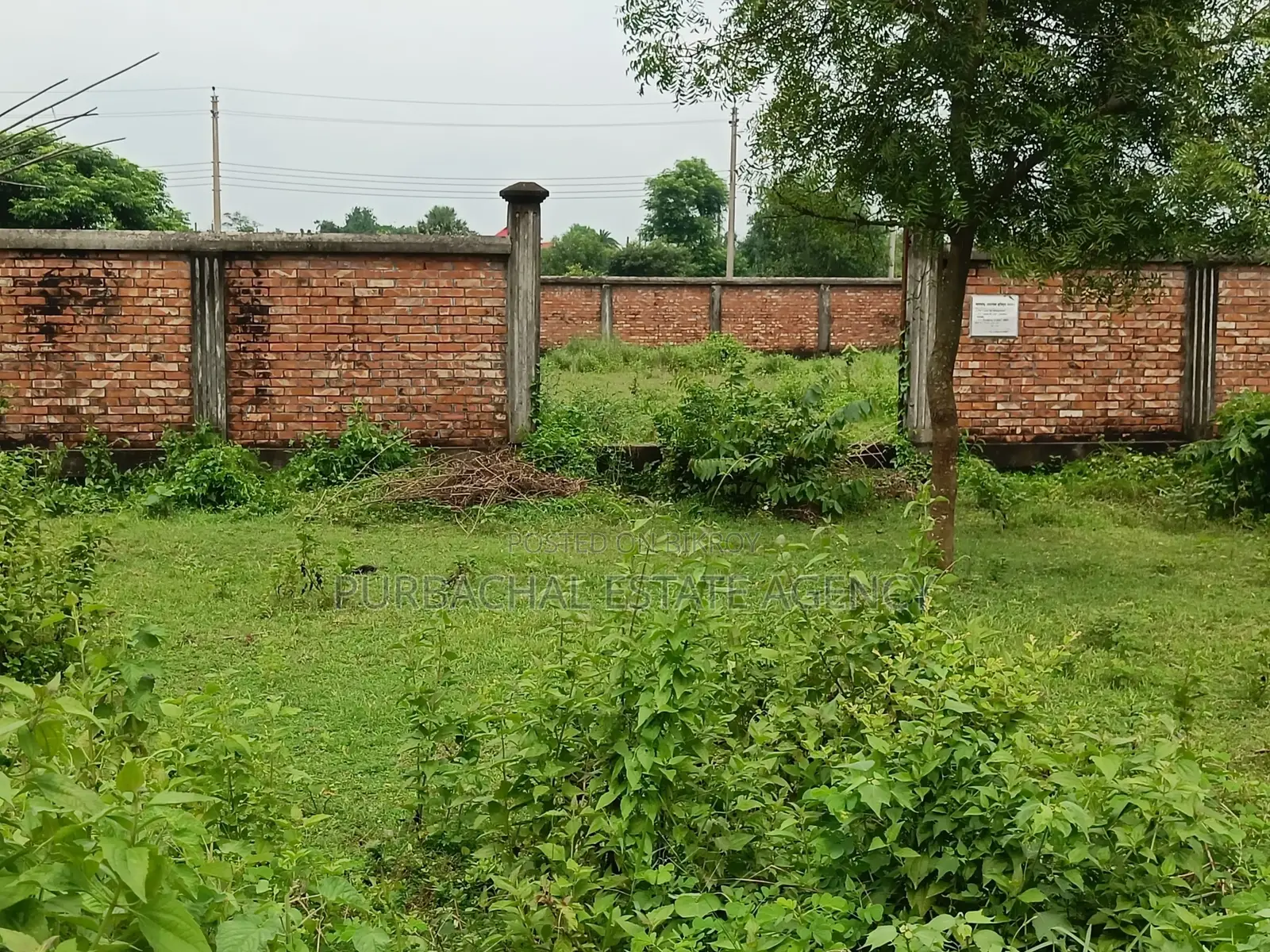 সেক্টর ৯-এ ১০০ ফুটের কাছে ৩ কাঠার প্লট