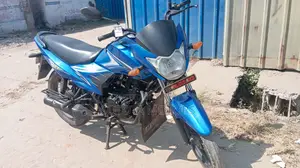 Suzuki Hayate 2022