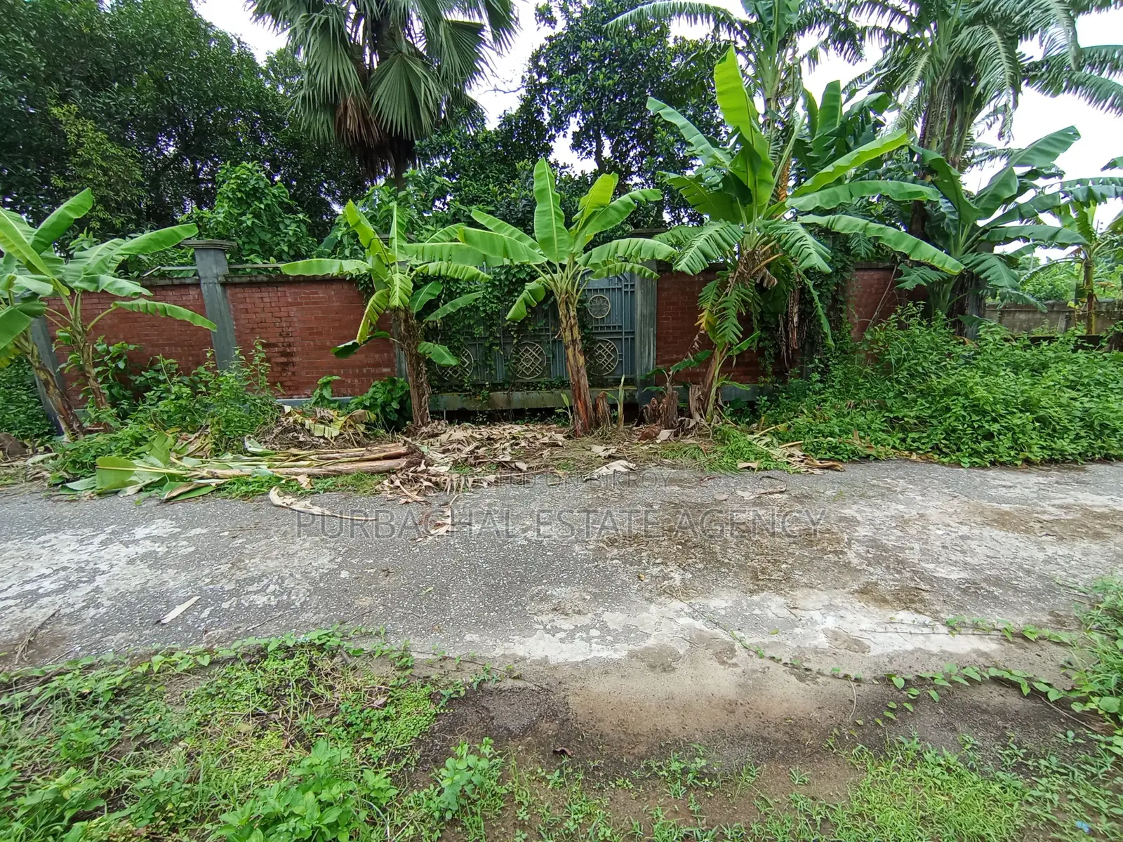 South Facing, 5 Katha Plot In Sec#30