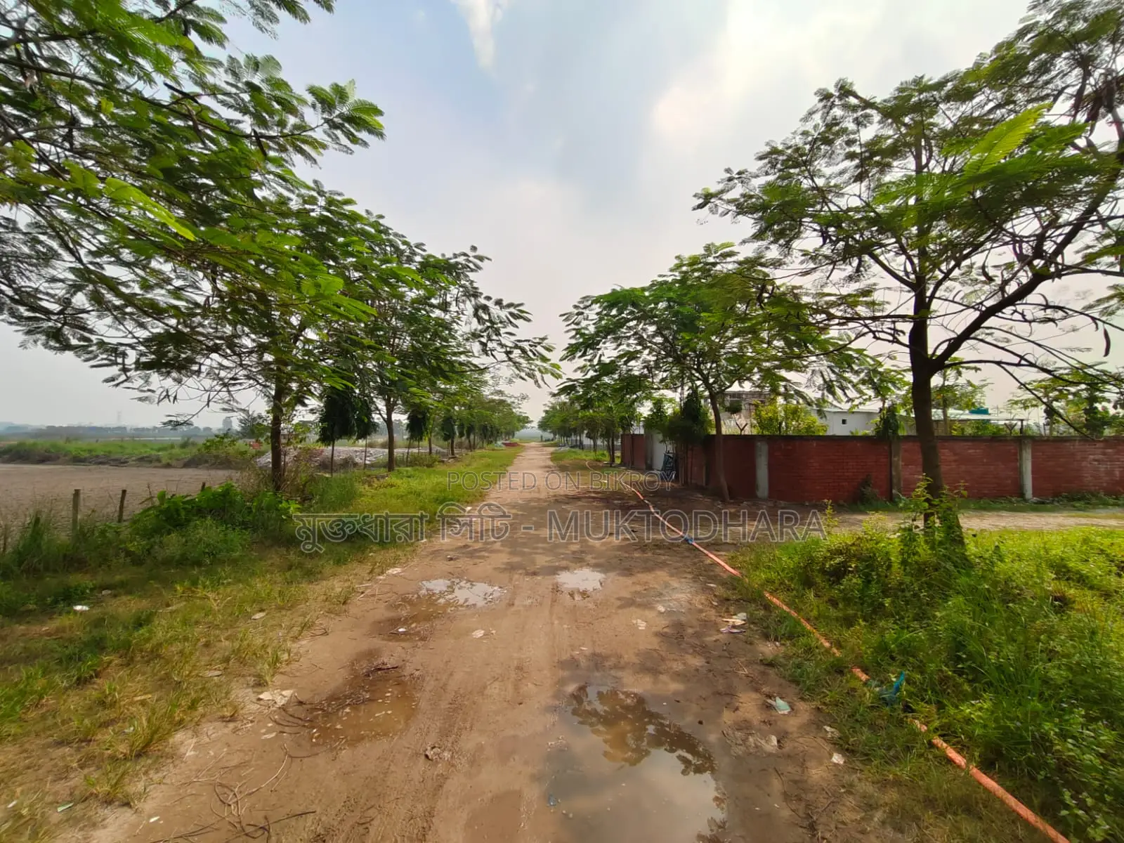 Own a plot in Dhaka