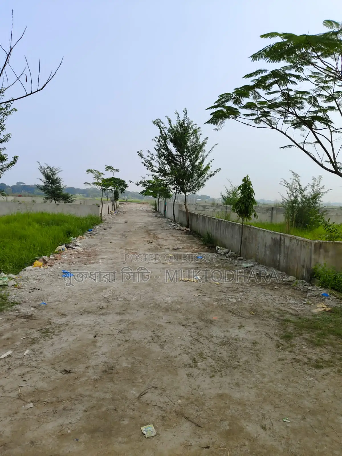 Own a plot in Dhaka