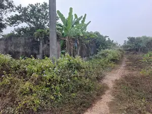 Corner 5 Katha Plot Sale in Rajuk Purbachal