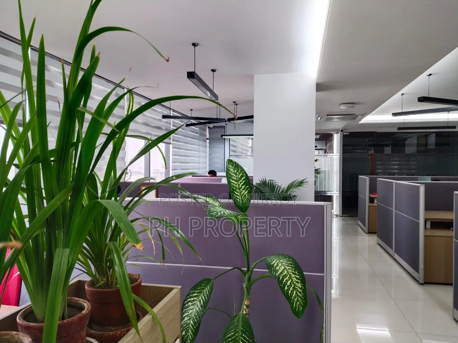 বনানীতে কমার্শিয়াল ফার্নিশড অফিস