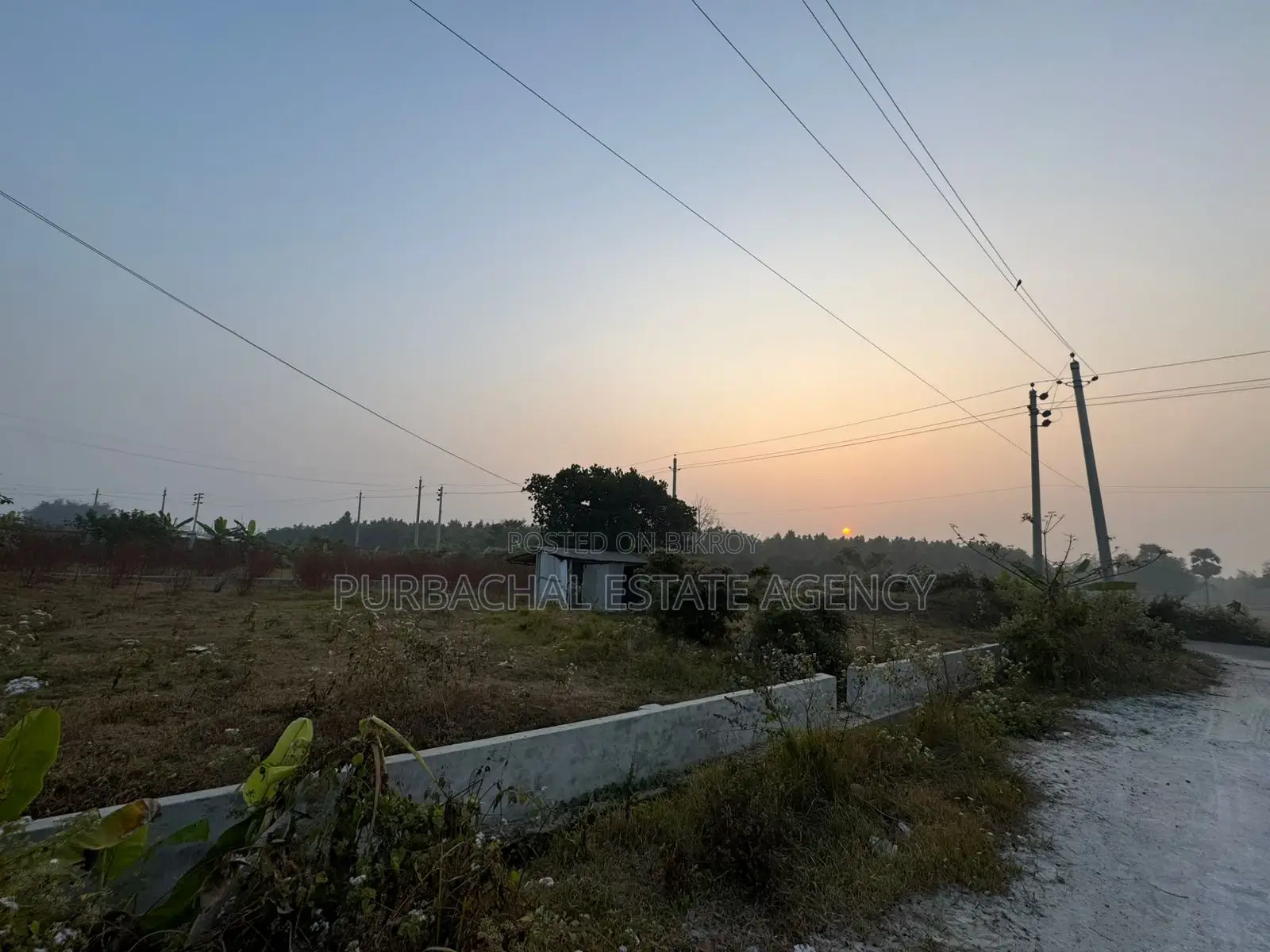 সেক্টর ১৫-এ দক্ষিণমুখী ৩ কাঠার প্লট